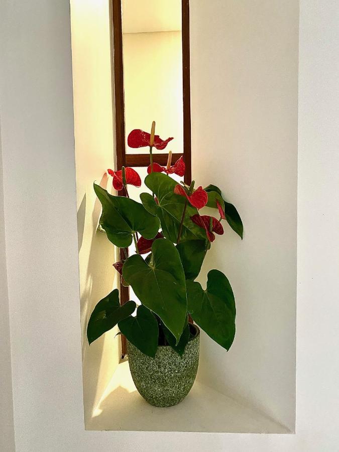 ريزندي Douro B&B Avenida المظهر الخارجي الصورة